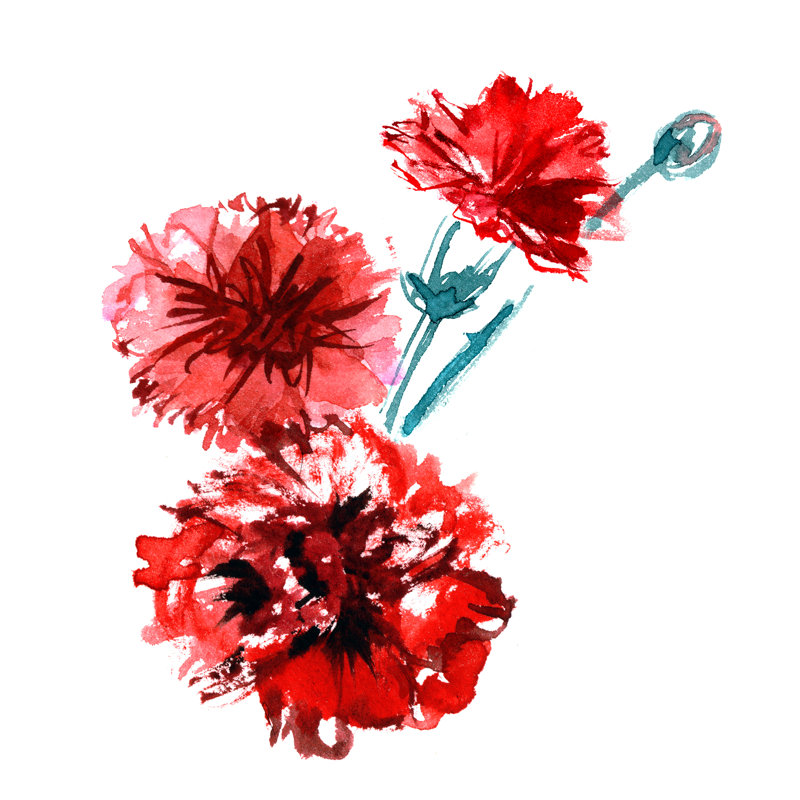 Yutan Hand Painted Carnations by Elena Efremova - Wrapped Canvas Painting, 30cm H x 30cm W x 3.8cm D