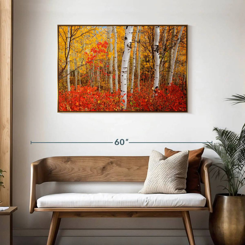 Bouleaux d'automne, Cadre flottant doré, 43 po x 29 po