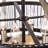 8 - Light Dimmable Globe Chandelier-2051990853-2051990852