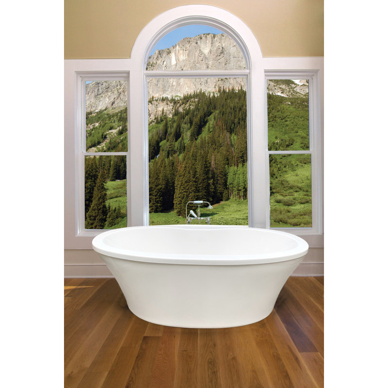 Danielle 65.5'' L Freestanding Soaking Bathtub
