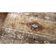 Dean Southwestern Area Rug in Gold-100483641