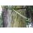 Demarco Ultra Lite Hammock Tree Strap