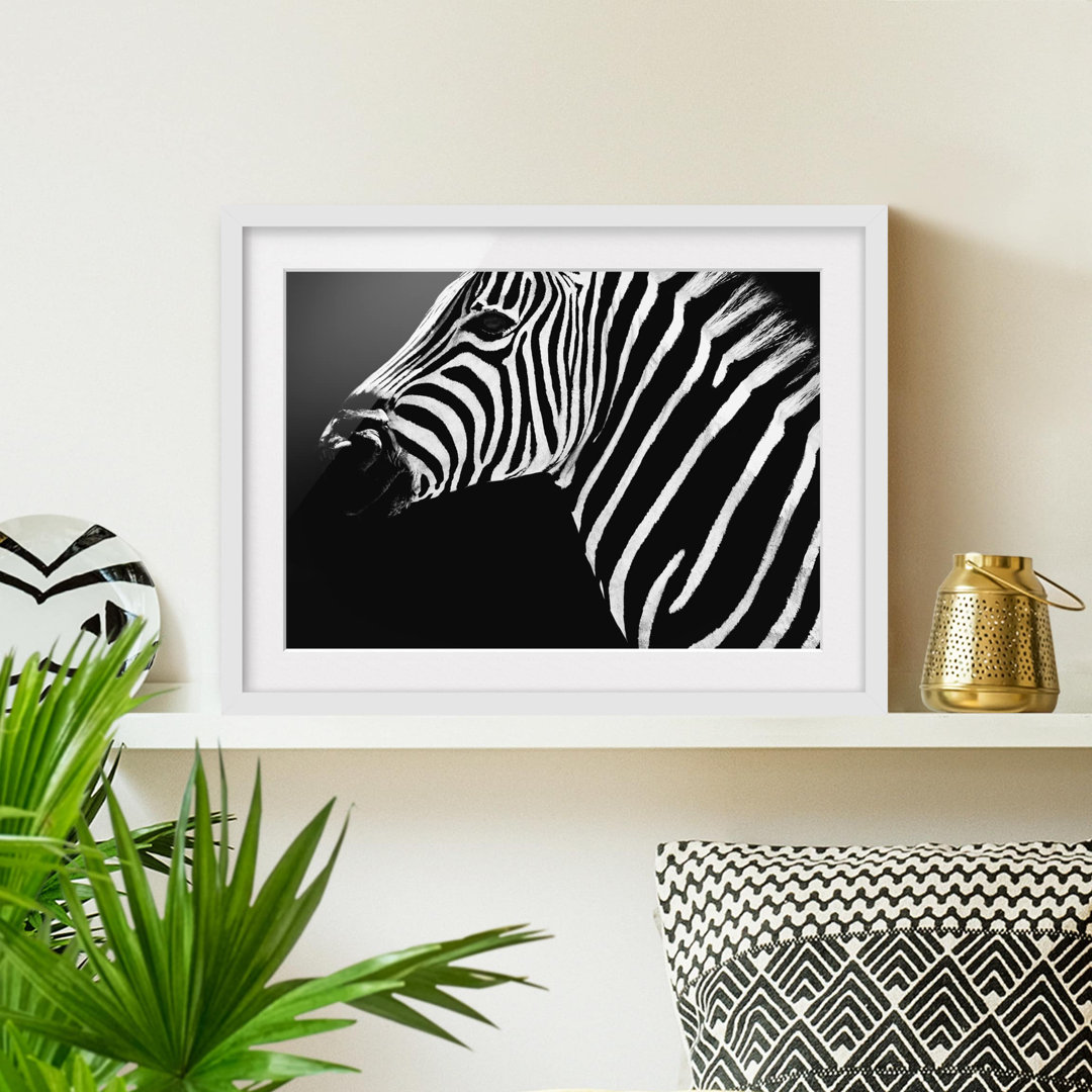 Gerahmtes Poster Zebra Safari