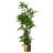 150cm Faux Moss Tree in Metal Planter-1516446486