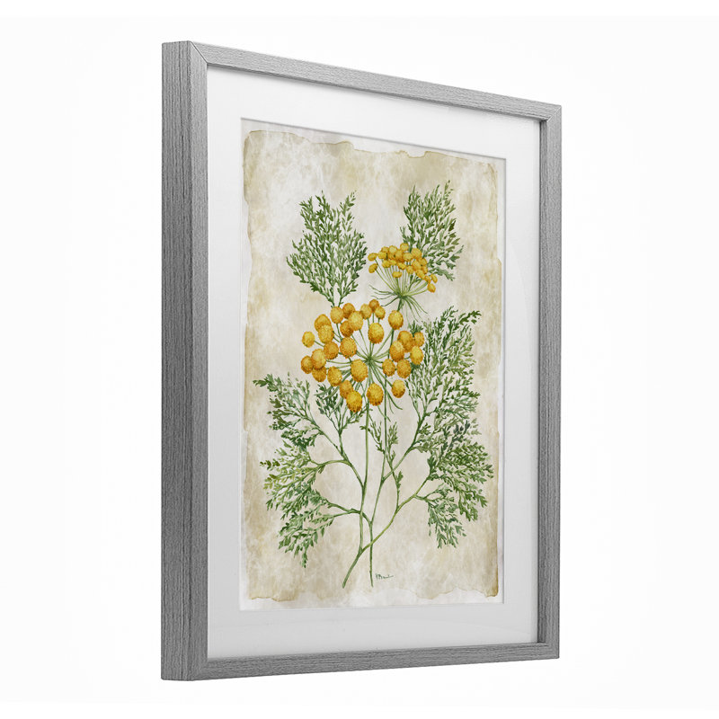 «Botanical Journal», reproduction d'art encadrée sous verre, conception de Paul Brent, H 16 po x l 13 po, Cadre de ferme gris