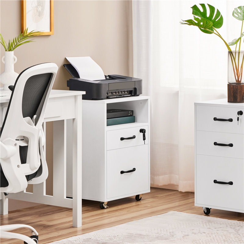 Elisbeth 16'' Wide 2 -Drawer Mobile File Cabinet, White