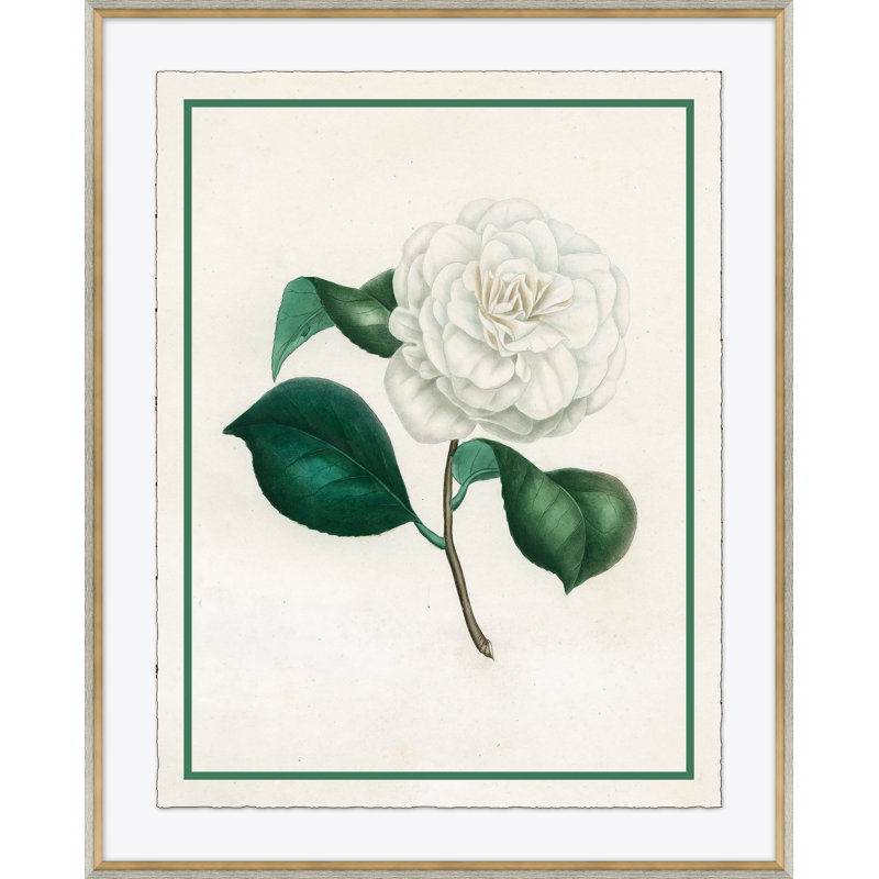 Flora I Giclee Print