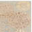 Coreatha Martha Stewart Hand Tufted Wool & Viscose Floral Rug-14414279