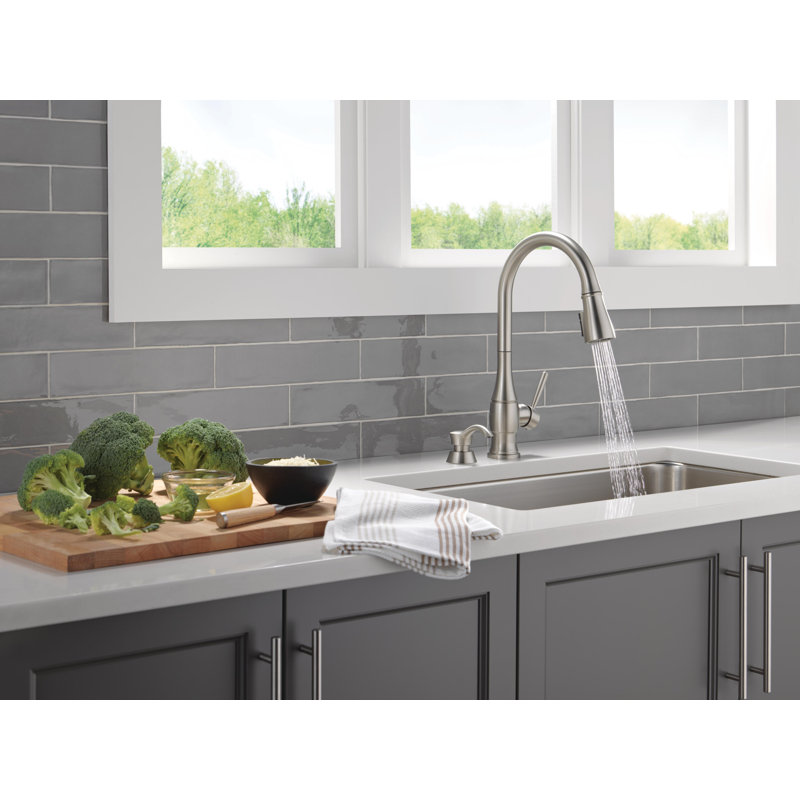 Robinet d'évier de cuisine avec distributeur de savon Hazelwood, Acier inoxydable Spotshield