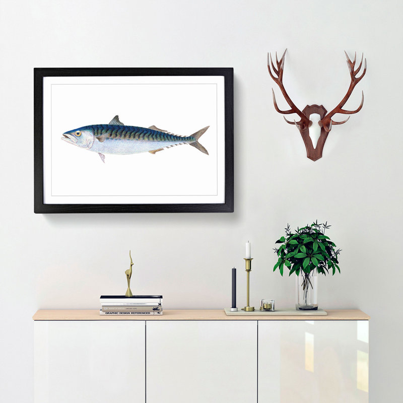 Mackerel Fish by Edward Donovan - Framed Print, 36cm H x 48cm W x 2cm D, Black Framed