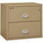 Fireproof 2 - Drawer File Cabinet-331546-217205
