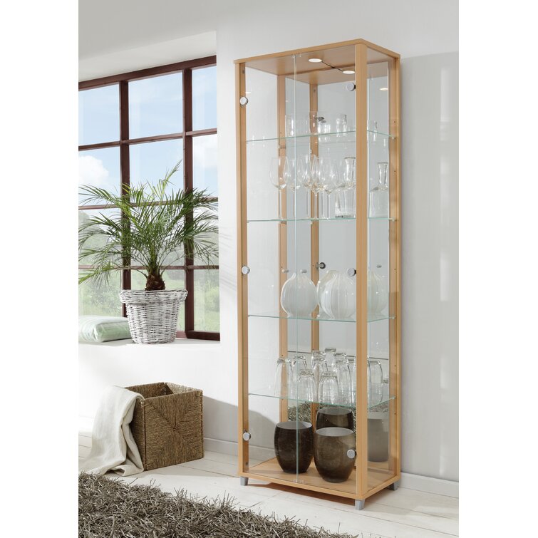 Standard Curio Cabinet with Lighting