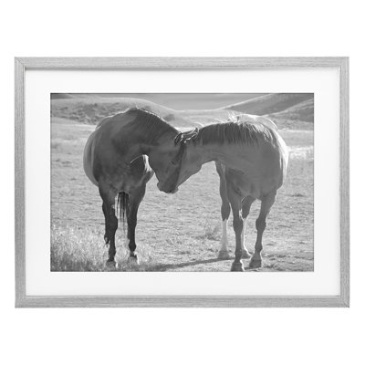 «Sweet Nothings Bond entre les chevaux», reproduction sous verre encadrée, design par Steve Toole