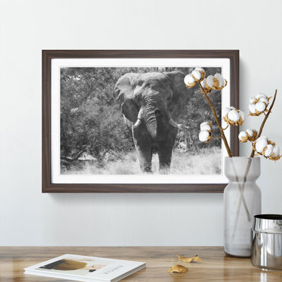The Majestic Elephant - Framed Print