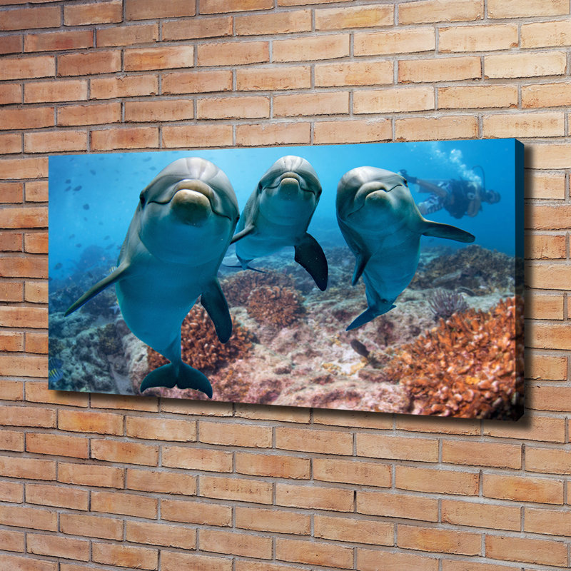 Dolphins - Wrapped Canvas Print