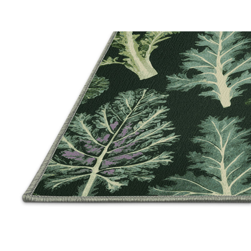  Tapis lavable Kale Brassica oleracées, Rectangulaire 3 pi x 5 pi