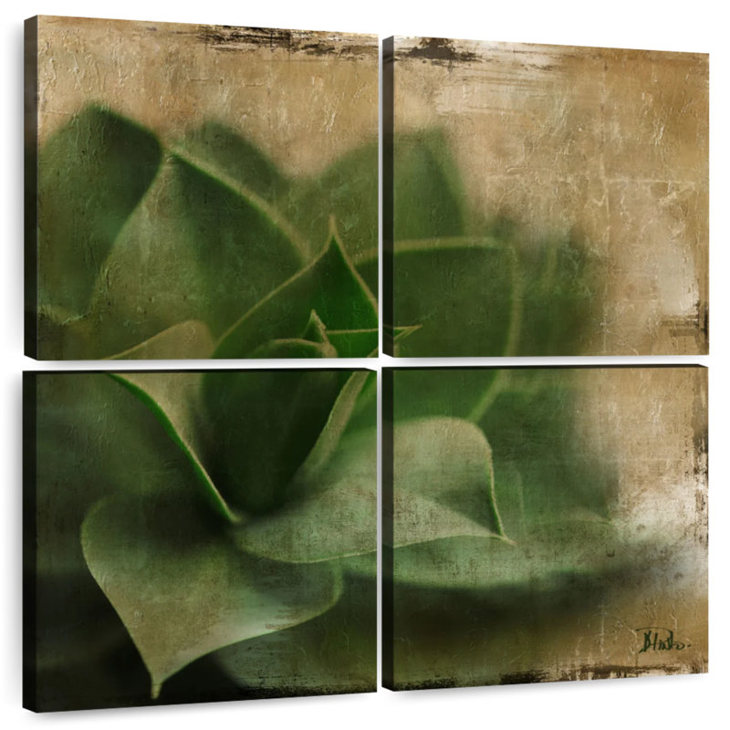 Harnek Succulent II