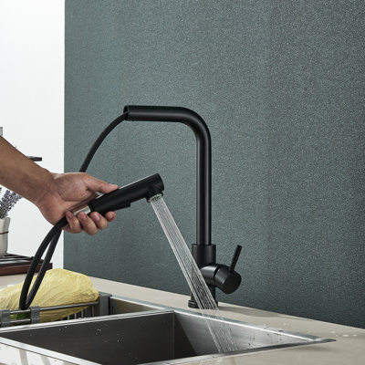 AlenArtWater Pull Out Kitchen Faucet