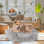 Lit pour chien Elam Super Lux Shaggy-1458731877-1458732009