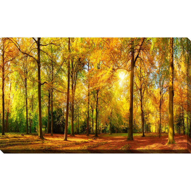 « automne gold », reproduction d’impression sur toile tendue, H 28 po x l 48 po x P 1,5 po