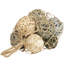 Remplissage de vase Petula-139740663