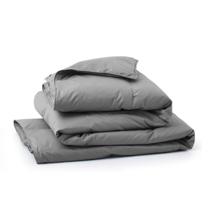 600in³/oz Fill Power All Season Down & Feather Blend Comforter, Twin