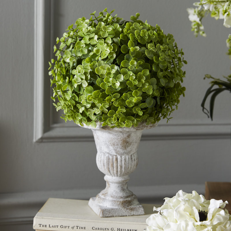 Topiaire boule de eucalyptus artificielle de bureau en urn