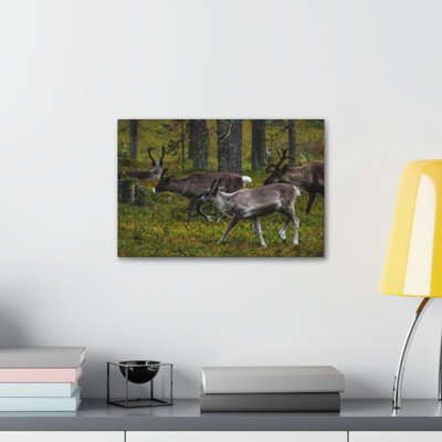 No Frame Print on Canvas