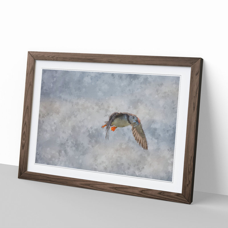 Atlantic Puffin Birds Vol.5 - Picture Frame Graphic Art, Walnut Framed, 36cm H x 48cm W x 2cm D