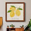 Toile encadrée Citrus Trattare I-Premium - prête à être accrochée-514279438-514279439