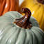 5.5" Colored Stoneware Pumpkin Trio Set of 3, Multicolor