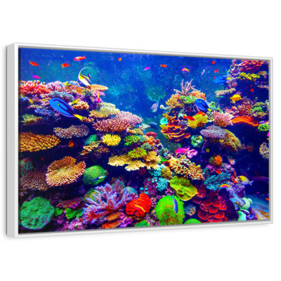 Vibrant Underwater Scenery