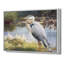Birds-2090726213-2090726210