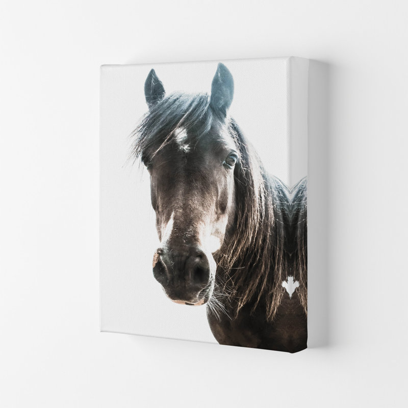 Brown Horse by Victoria Frost - Print, 42cm H x 29.7cm W x 4cm D, Wrapped Canvas