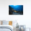 Swimming Hawksbill Turtle Serene Vibrant Fish Turtle Nature Ocean Wall Art Print 1 Piece Wrapped Canvas Wall Art-282132636
