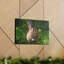 Art mural lapin majestueux-2013105437