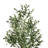 Faux Olive 60" Potted Tree