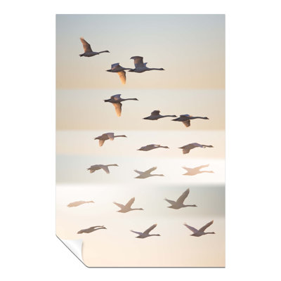Flock of Birds Flying Formation 1 Piece Wall Art