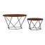 Anamaria Sled Coffee Table-22864566