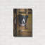 " Border Collie Exploring " by John Silver