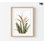 Reproduction d'art mural aux rayons X, impression florale encadrée, fleur aux rayons X, décoration murale botanique, art mural encadré, art mural surdimensionné