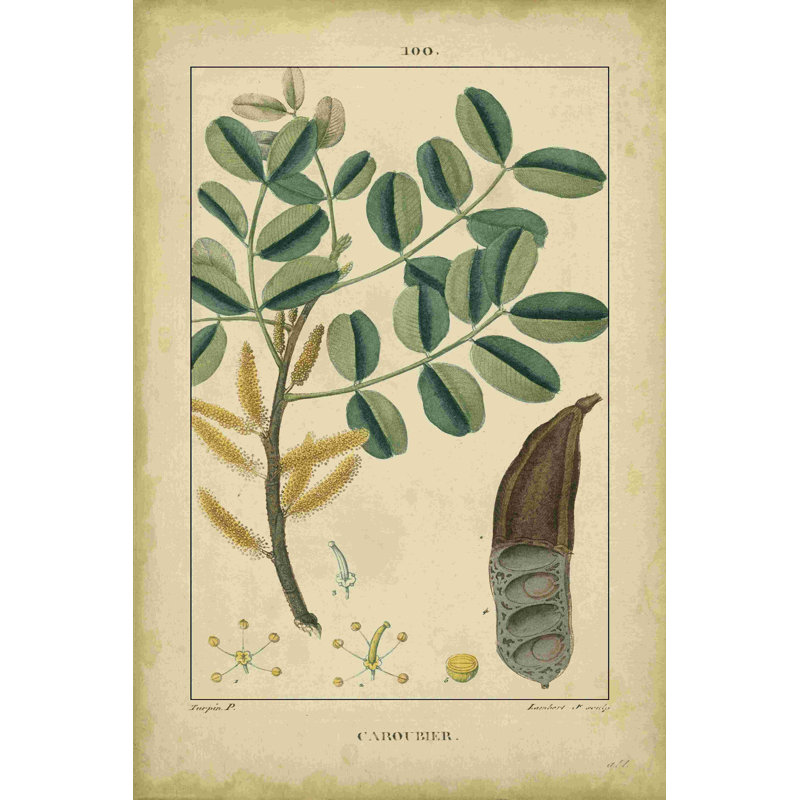 Vintage Turpin Botanical VII, H 18 po x l 12 po
