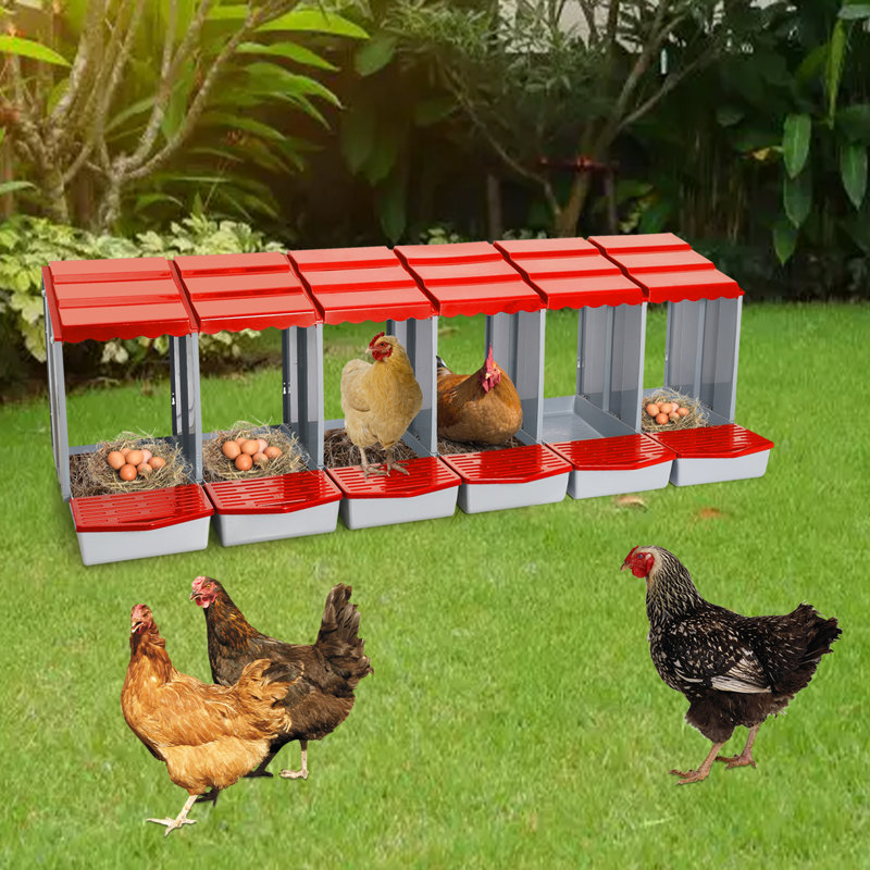 6-Compartment Chicken Laying Boxes With Egg Collection, Red