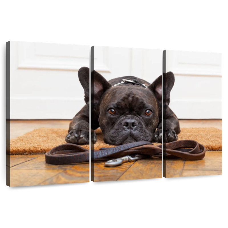 French Bulldog Waiting, 48" H x 74" W