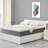 Alwyn Home Rockport Memory Foam 12" Mattress with Thick Memory and Support Foam for Pressure Relief, Fiberglass Free, Mattress In A Box-765632494