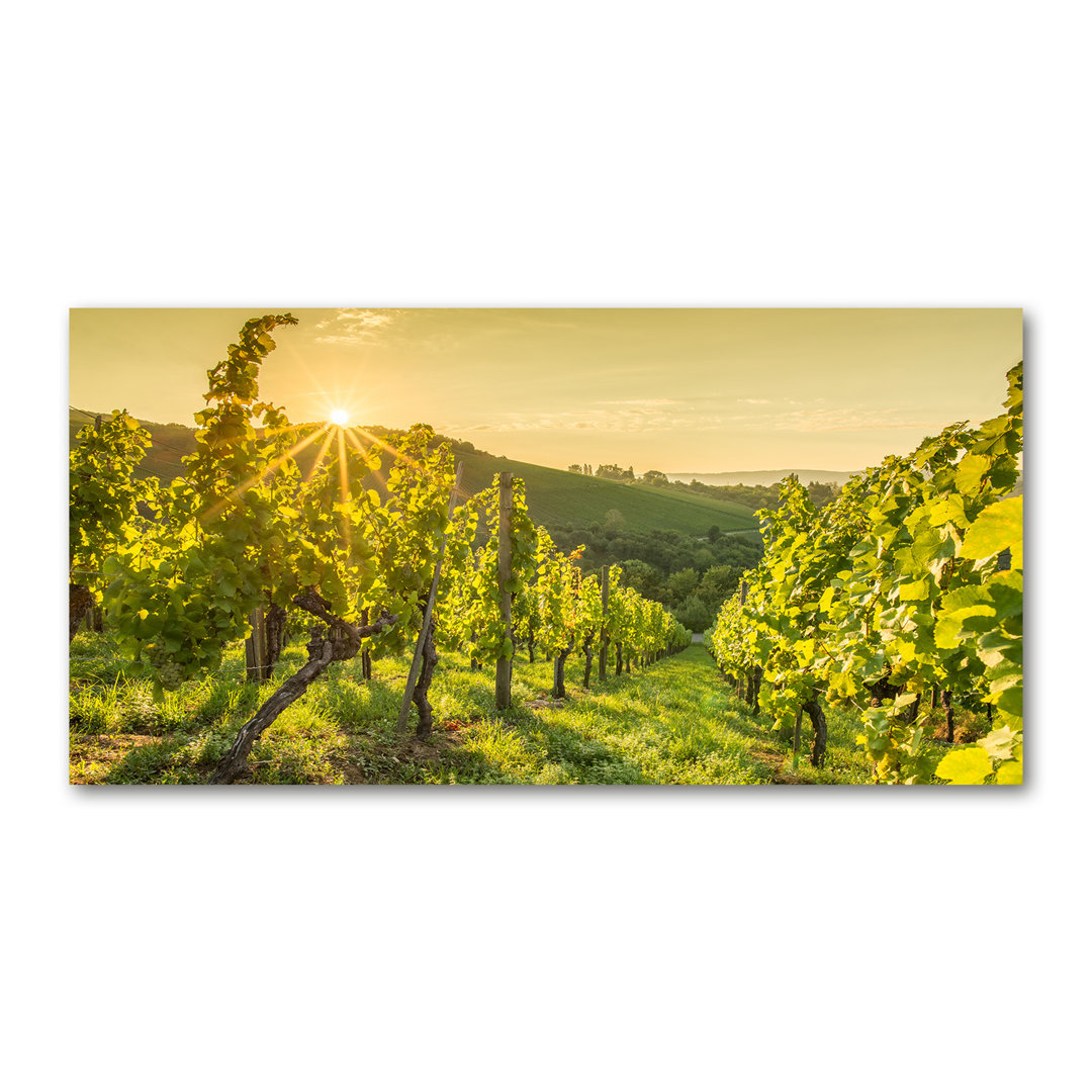 Vineyard - Kunstdrucke auf Leinwand - Wrapped Canvas