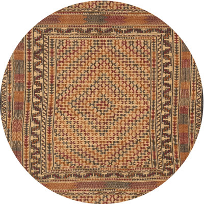 Oriental Indoor Rug