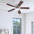 Alvina 44'' Ceiling Fan with LED Lights-765932382