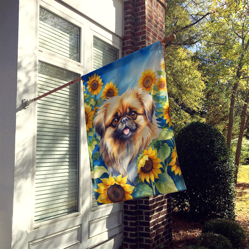 Drapeau de la maison du tournesol Malamute d'Alaska, Pékinois