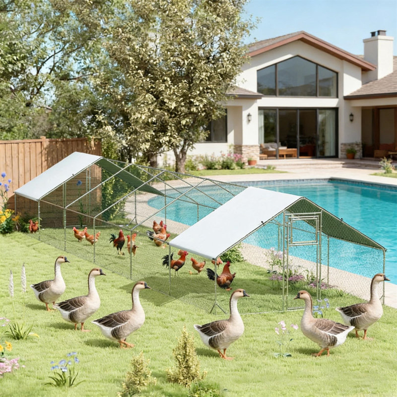 Maison pour animaux de compagnie, poulailler, poulailler extérieur, maison pour canards